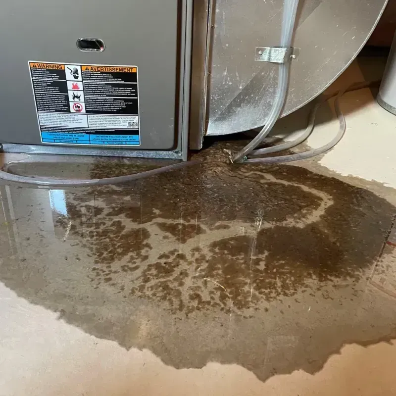 Appliance Leak Cleanup in Gothenburg, NE